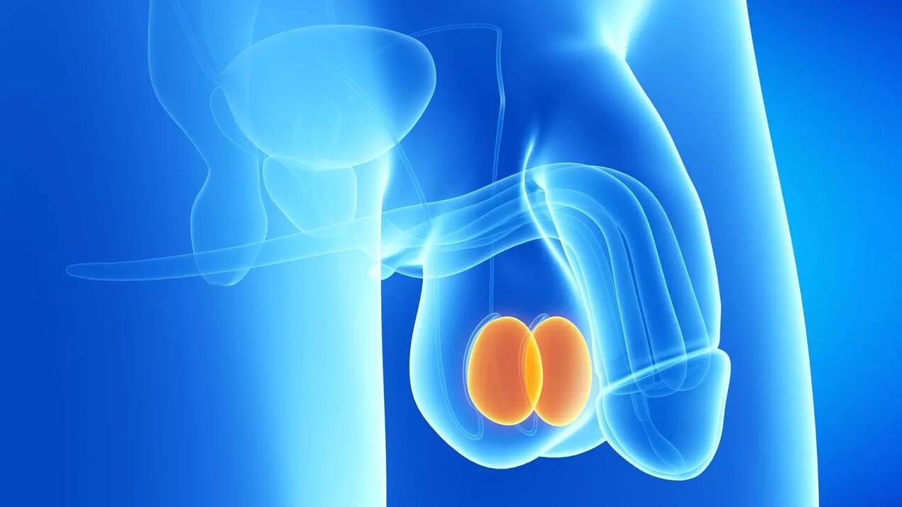 costs of penis enlargement surgery